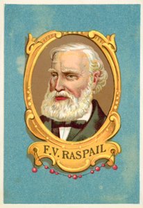 Francois-Vincent Raspail, Franse arts door French School